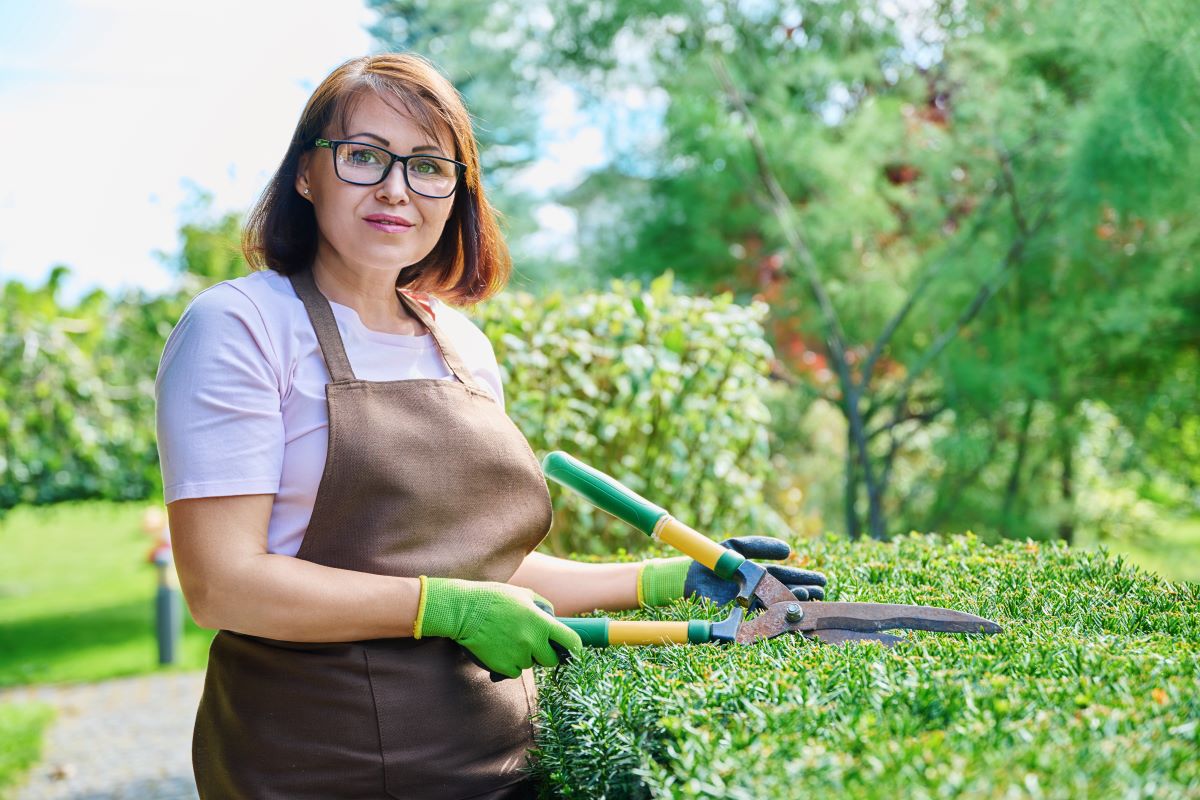 Gartenpflege durchs Jahr – Saisonkalender & Arbeiten