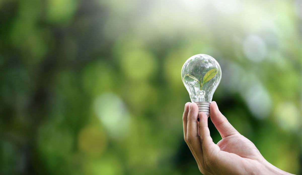 Energiesparen im Haushalt: 10 effektive Maßnahmen