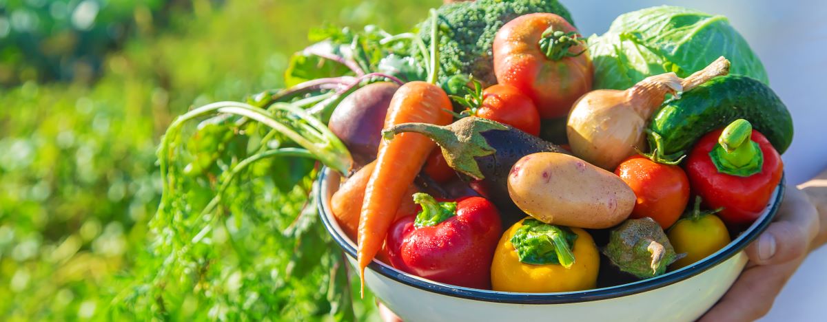Saisonkalender: Wann hat Obst & Gemüse in Deutschland Saison?